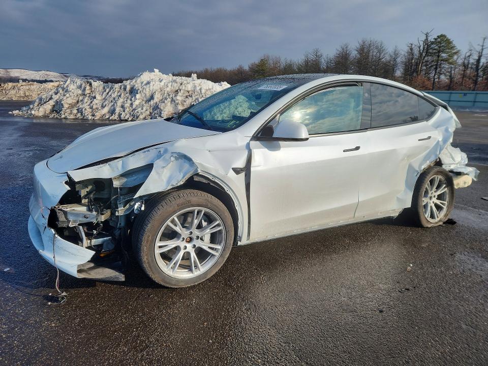 2023 TESLA MODEL Y — VIN 7SAYGDEE3PA193119