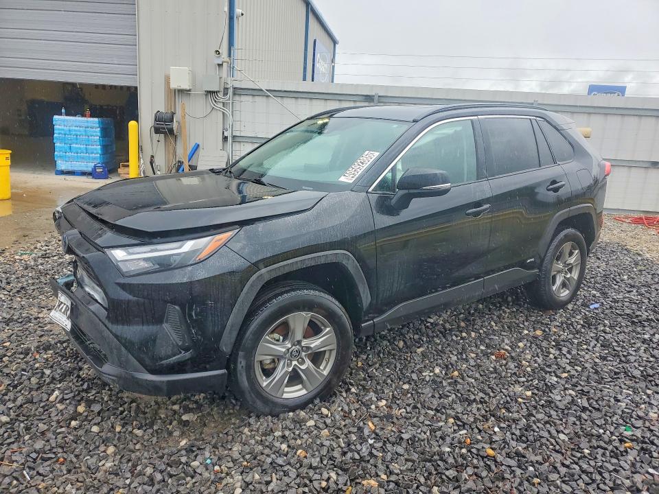 2024 TOYOTA RAV4 — VIN 2T3MWRFV1RW233997