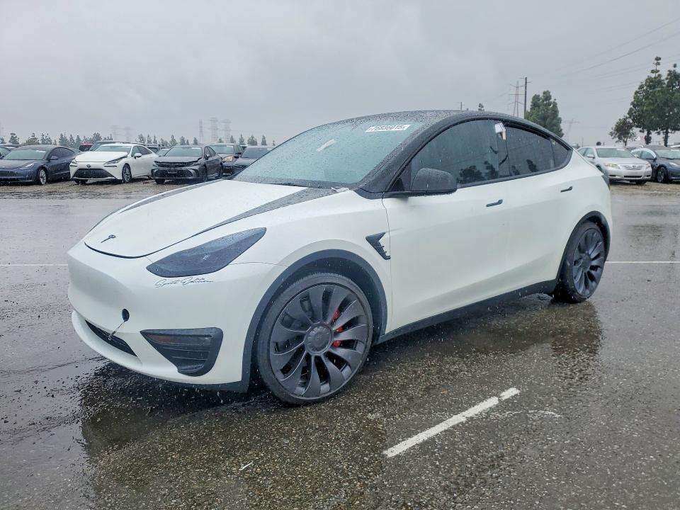 2025 TESLA MODEL Y — VIN 7SAYGDEF2SF300486