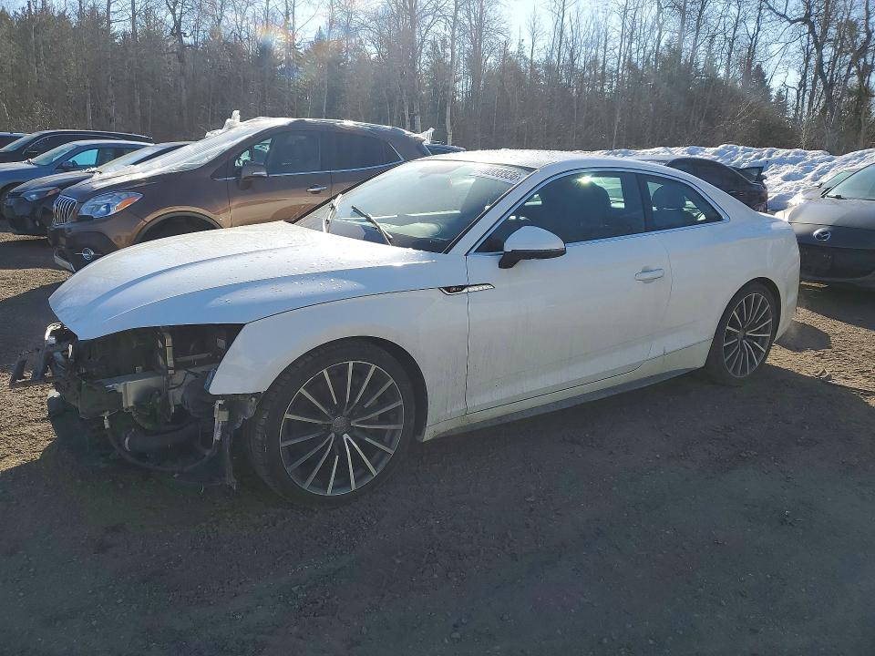 2019 AUDI A5 — VIN WAUUNAF58KA028019
