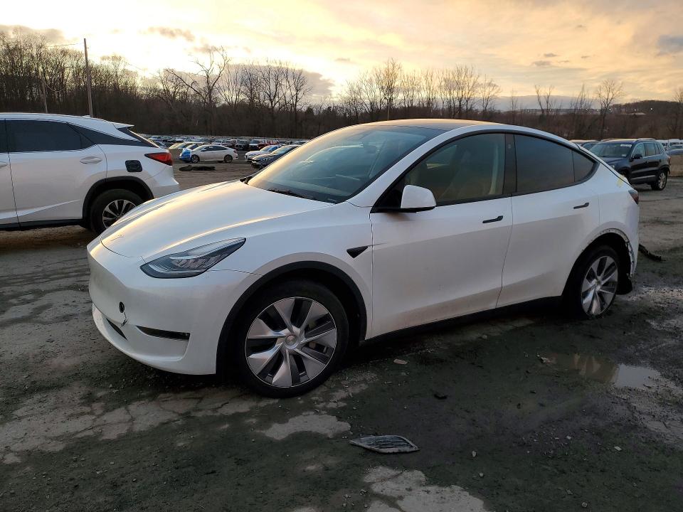 2023 TESLA MODEL Y — VIN 7SAYGDEE5PA110998