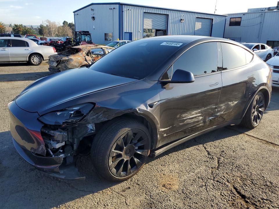 2024 TESLA MODEL Y — VIN 7SAYGDEE4RF014401