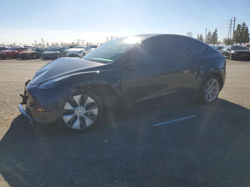 2024 TESLA MODEL Y — VIN 7SAYGDED5RF050234