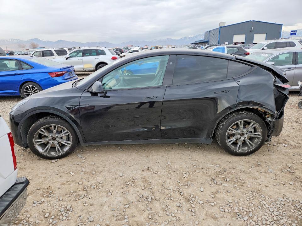 2024 TESLA MODEL Y — VIN 7SAYGDEE6RA251095