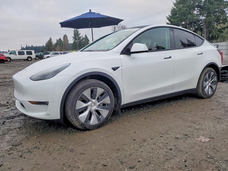 2024 TESLA MODEL Y — VIN 7SAYGAEE0RF984096