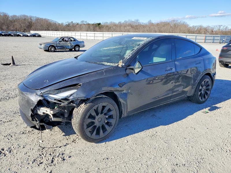 2025 TESLA MODEL Y — VIN 7SAYGDED1SA365258