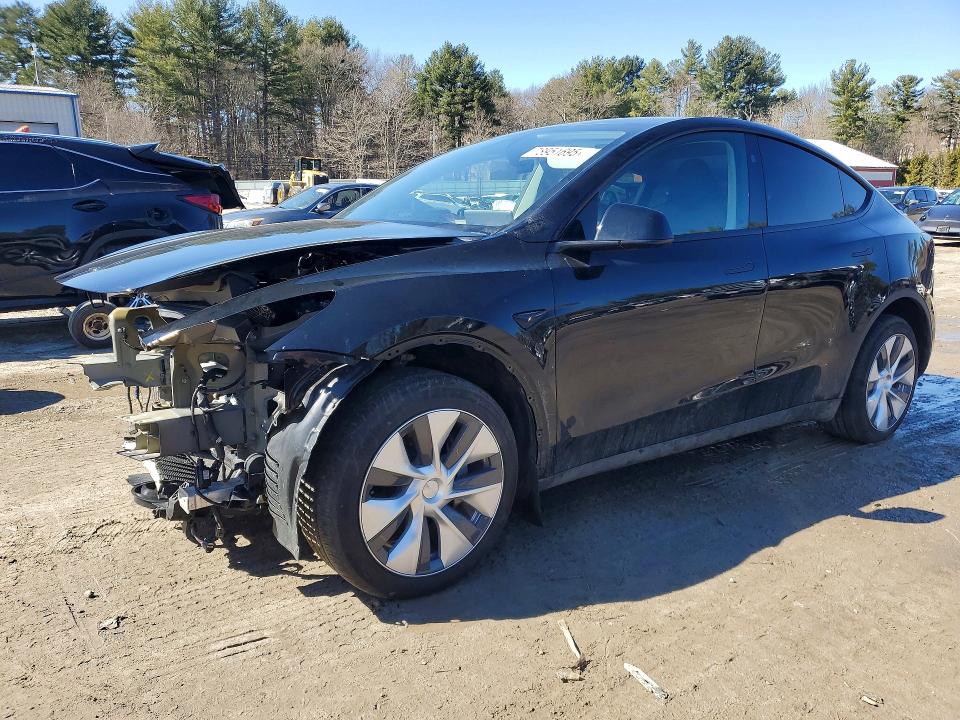 2024 TESLA MODEL Y — VIN 7SAYGDEE7RF984145