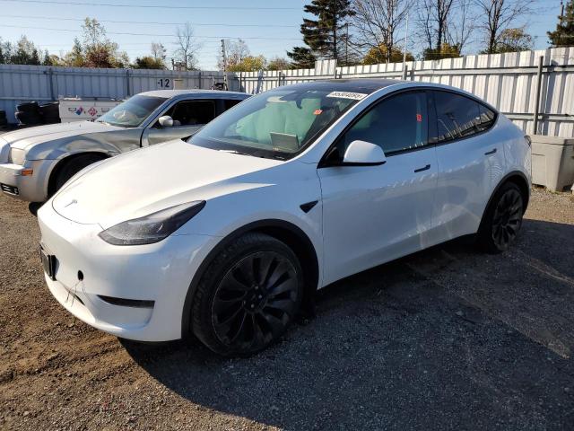 2023 TESLA MODEL Y — VIN LRWYGDFD2PC967392
