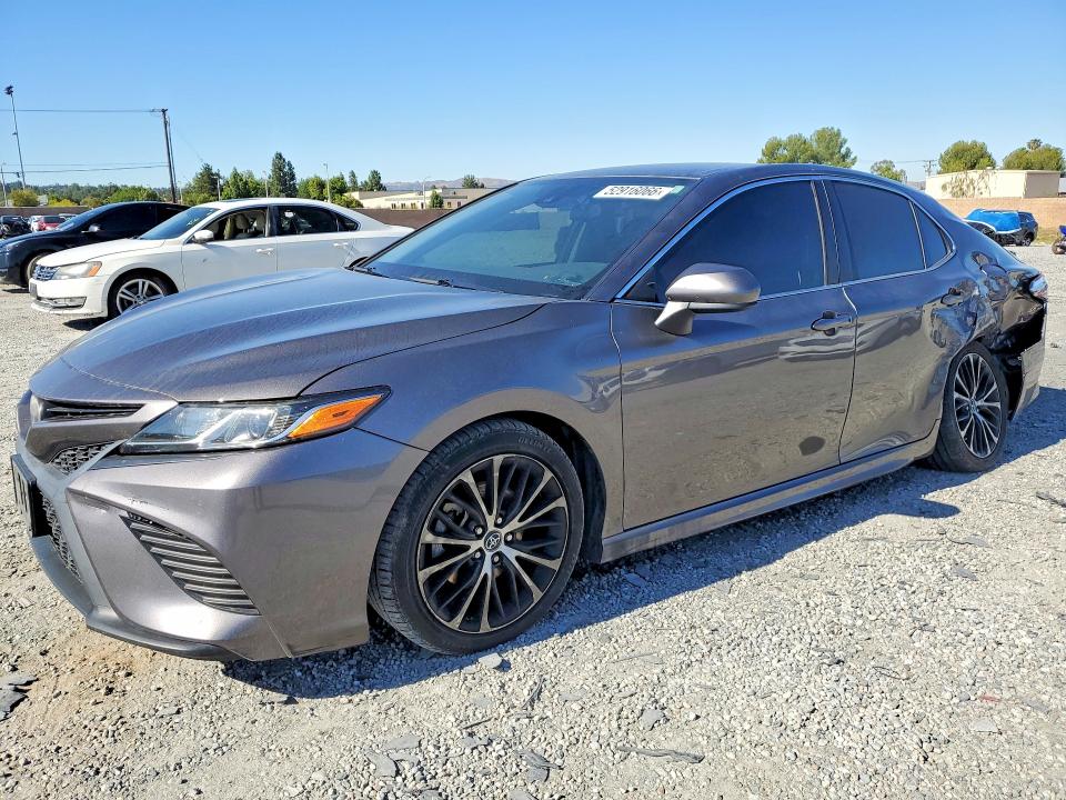 2019 TOYOTA CAMRY — VIN 4T1B11HK0KU204516