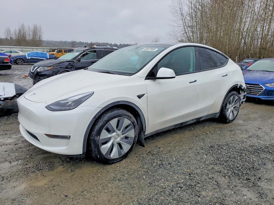 2023 TESLA MODEL Y — VIN 7SAYGDEE5PF867354