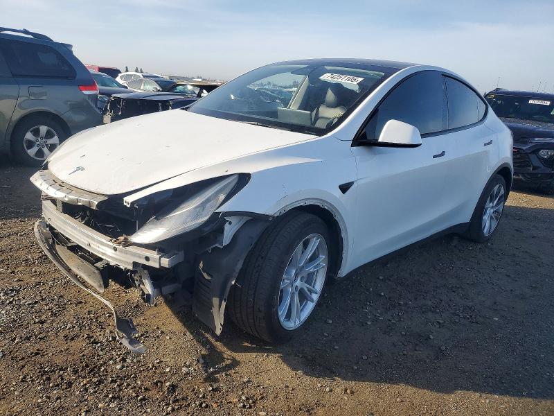 2021 TESLA MODEL Y — VIN 5YJYGDEE6MF138661