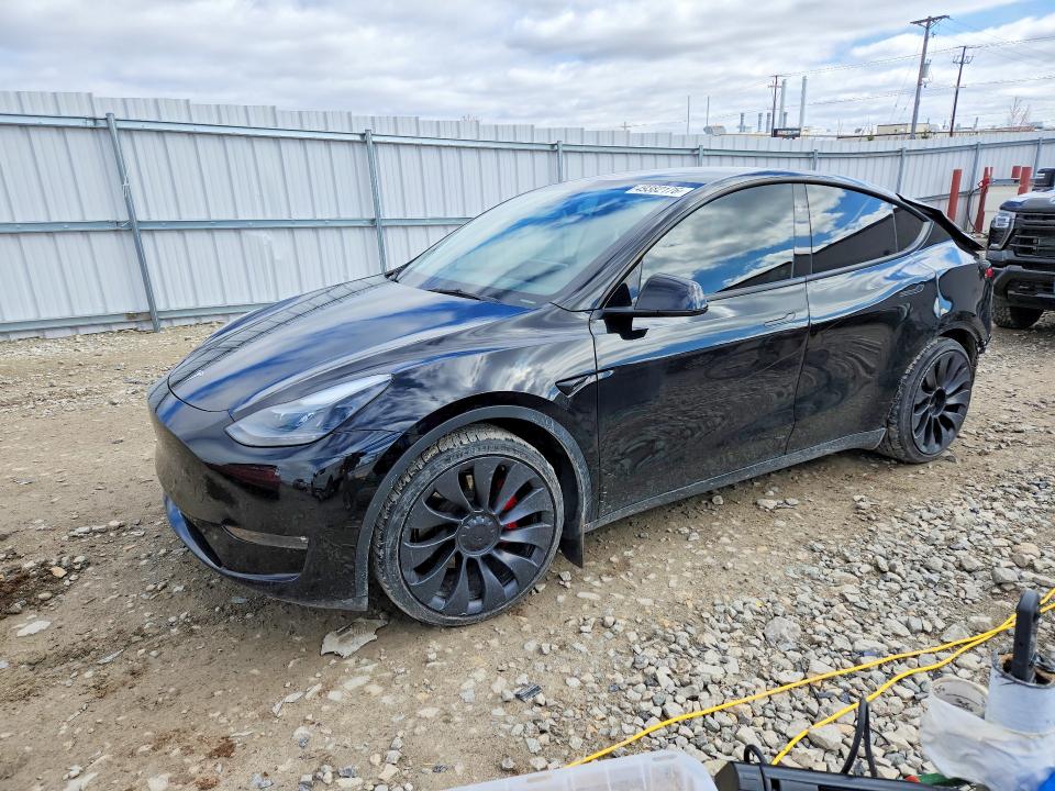 2023 TESLA MODEL Y — VIN 7SAYGDEF8PF811854
