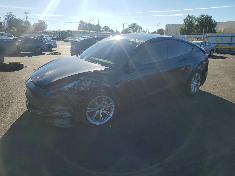 2024 TESLA MODEL Y — VIN 7SAYGDEE7RF986512