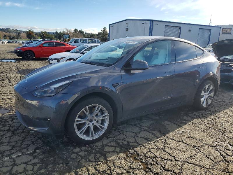 2023 TESLA MODEL Y — VIN 7SAYGDEE0PF806588