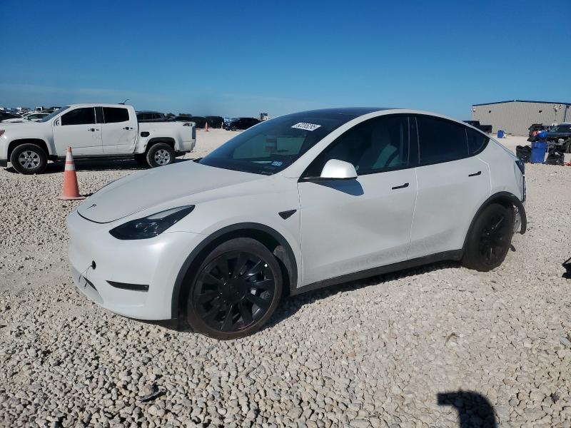 2023 TESLA MODEL Y — VIN 7SAYGDEE4PF628362