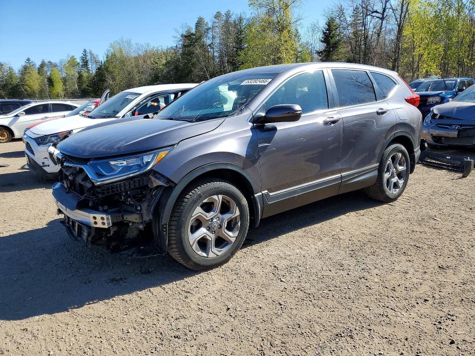 2019 HONDA CR-V — VIN 2HKRW2H51KH126293