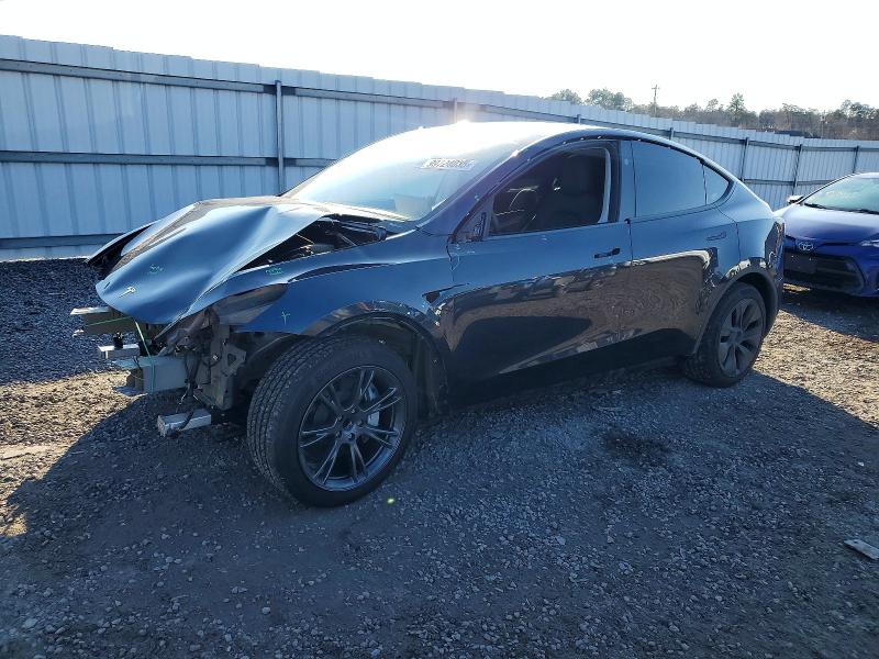 2024 TESLA MODEL Y — VIN 7SAYGDED6RF201775