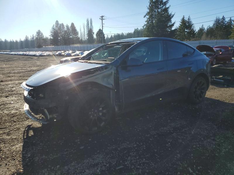 2023 TESLA MODEL Y — VIN 7SAYGDEE2PF858966