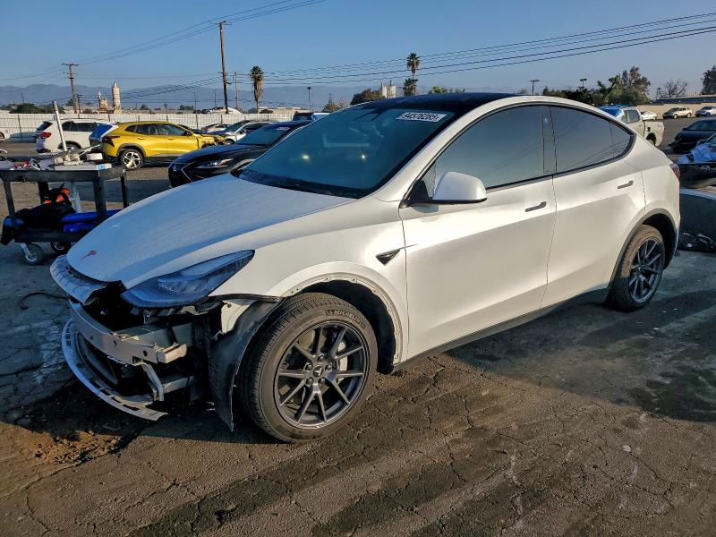 2021 TESLA MODEL Y — VIN 5YJYGDEE0MF145461