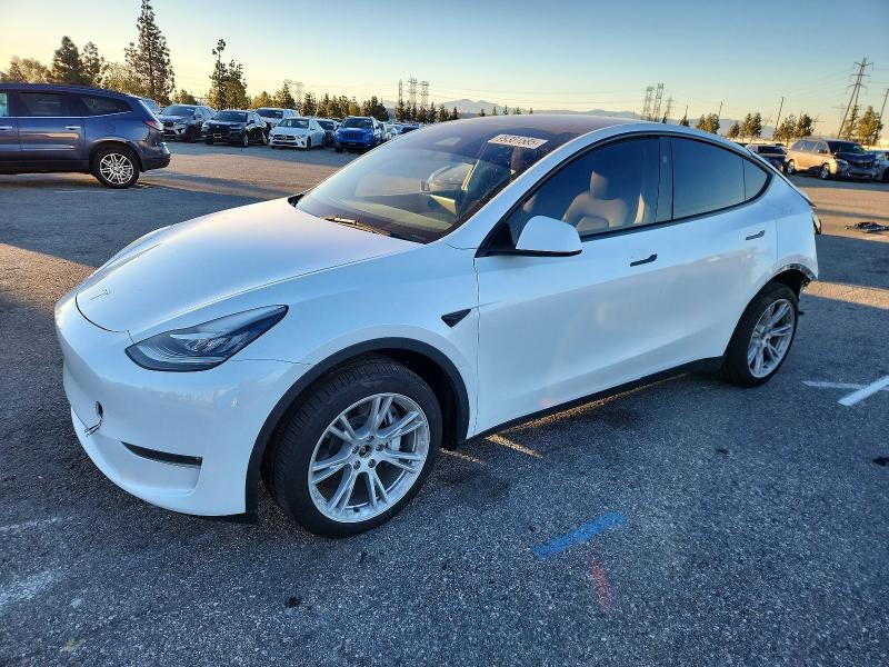 2023 TESLA MODEL Y — VIN 7SAYGDEE8PA137368