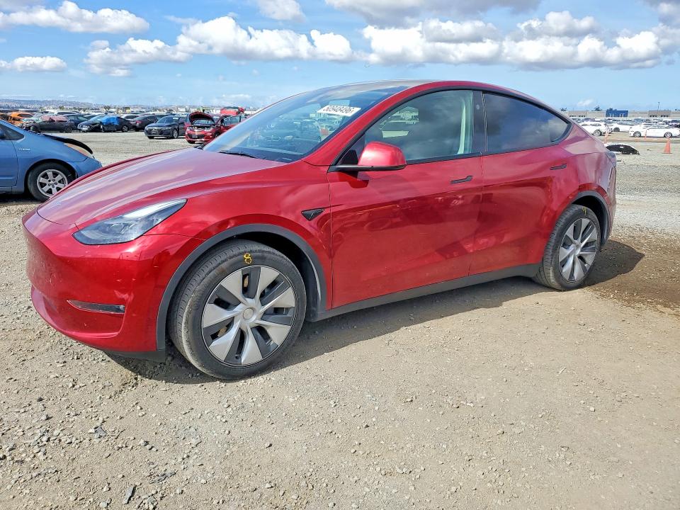 2024 TESLA MODEL Y — VIN 7SAYGDEE9RF069152