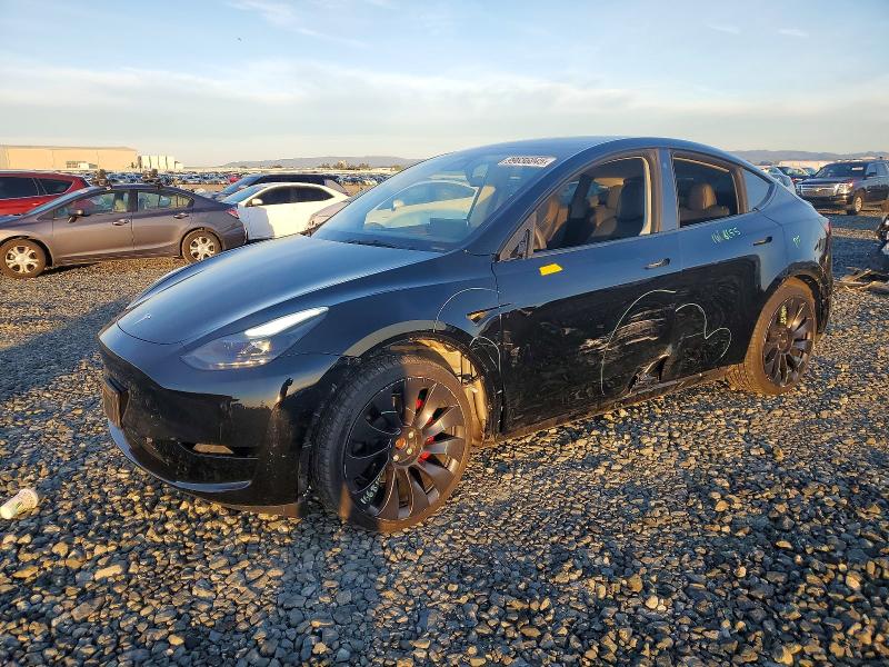 2023 TESLA MODEL Y — VIN 7SAYGDEF2PF710700