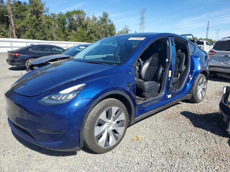 2023 TESLA MODEL Y — VIN 7SAYGDEE1PA116460