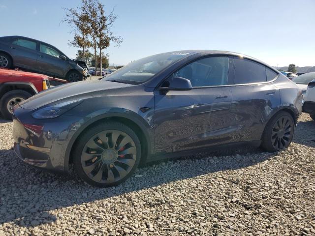 2021 TESLA MODEL Y — VIN 5YJYGDEF3MF124614
