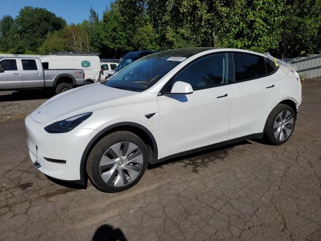 2024 TESLA MODEL Y — VIN 7SAYGDEE1RA251053