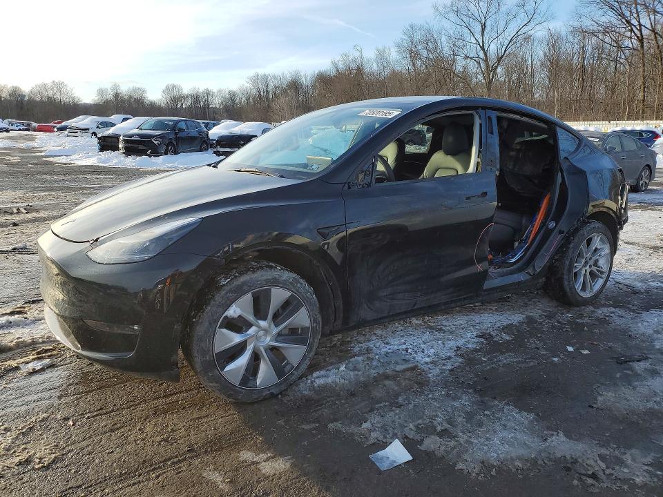 2023 TESLA MODEL Y — VIN 7SAYGDEE4PF879382