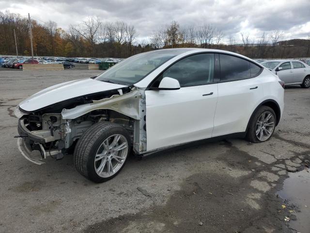 2023 TESLA MODEL Y — VIN 7SAYGDEEXPA117686