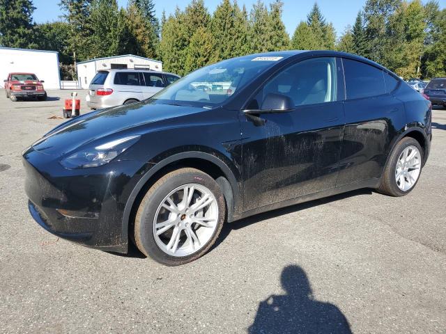 2023 TESLA MODEL Y — VIN 7SAYGDEE9PF910822
