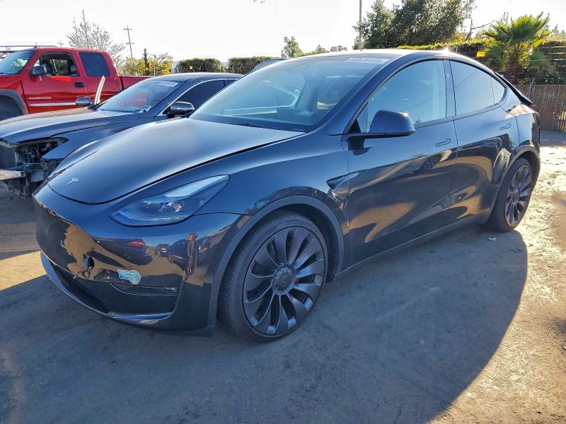 2025 TESLA MODEL Y — VIN 7SAYGDEF1SF259459