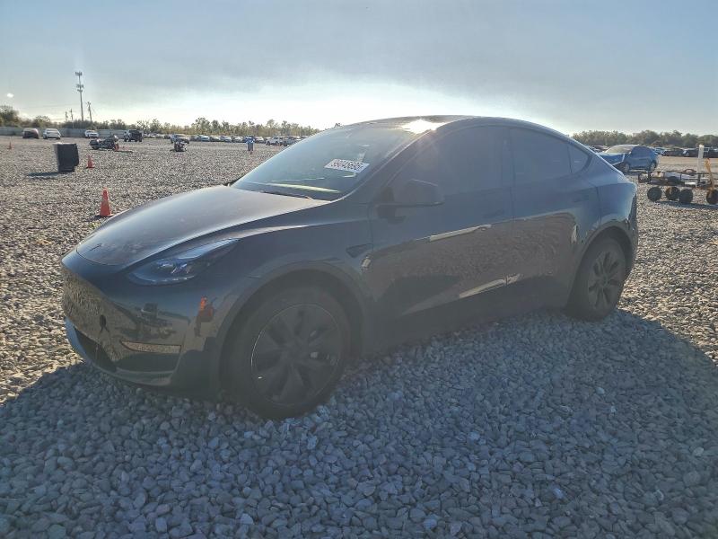 2025 TESLA MODEL Y — VIN 7SAYGDED3SF262006