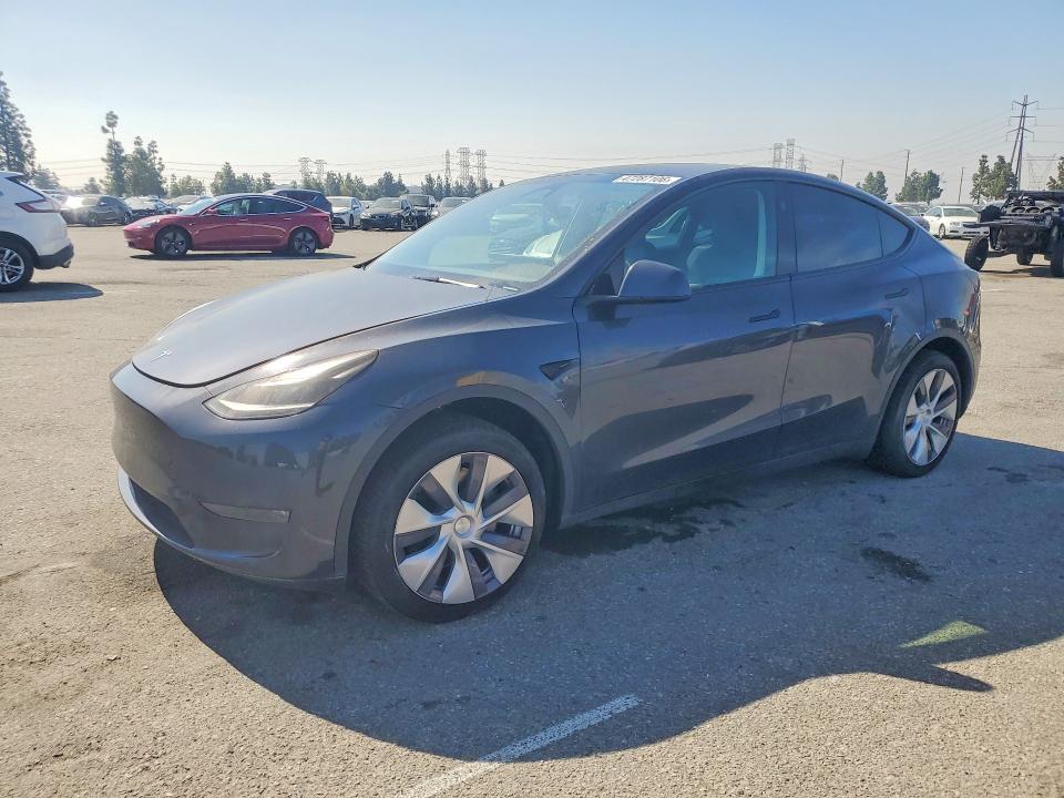2024 TESLA MODEL Y — VIN 7SAYGDEE2RA241535