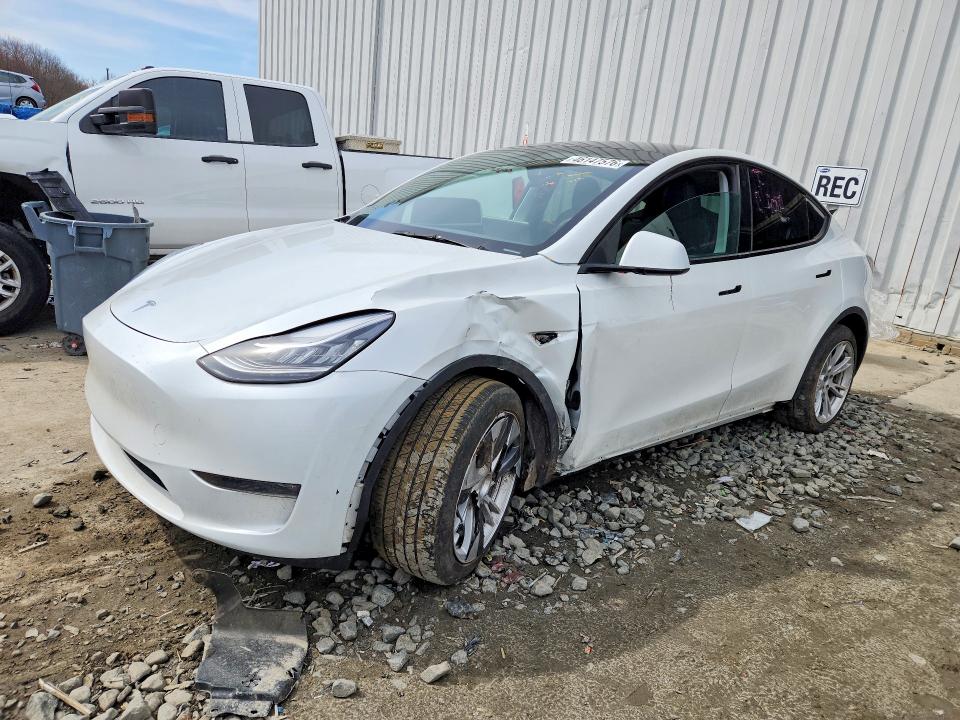 2023 TESLA MODEL Y — VIN 7SAYGDEE9PA119560