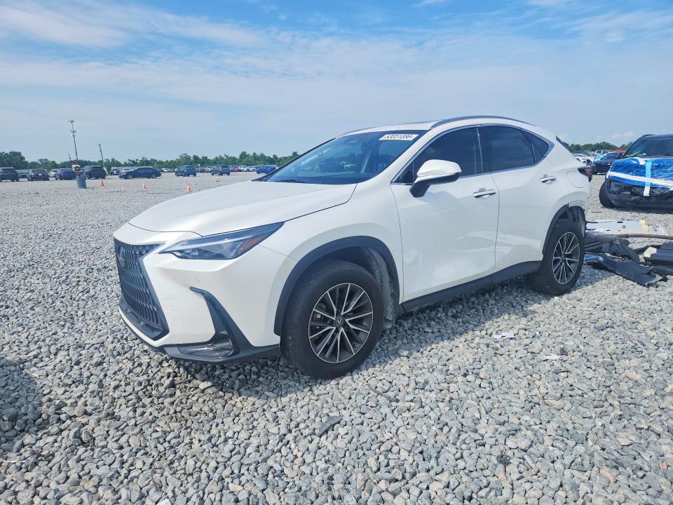 2024 LEXUS NX — VIN JTJGDCAZ0R5013569