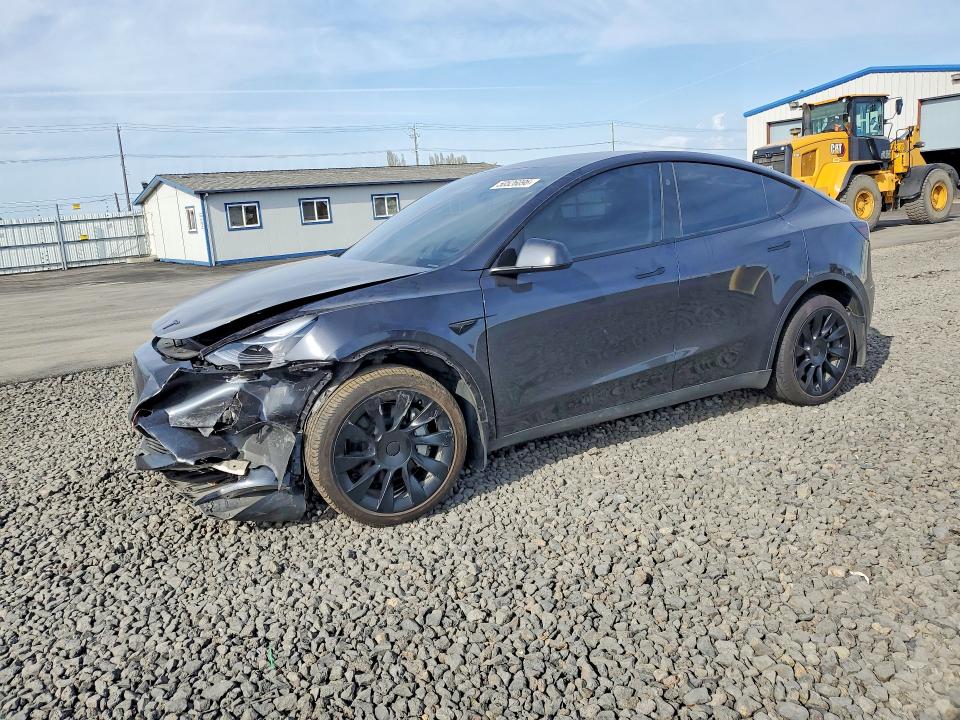 2024 TESLA MODEL Y — VIN 7SAYGDEE3RF165178