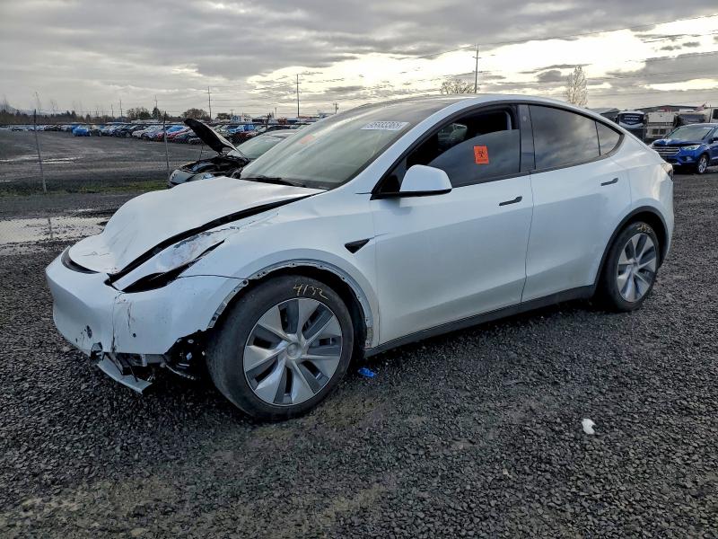 2021 TESLA MODEL Y — VIN 5YJYGDEE7MF297124