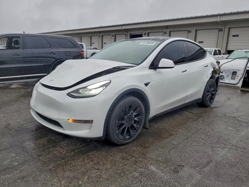 2021 TESLA MODEL Y — VIN 5YJYGDEE6MF062052