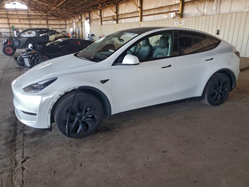 2024 TESLA MODEL Y — VIN 7SAYGDEDXRF118768