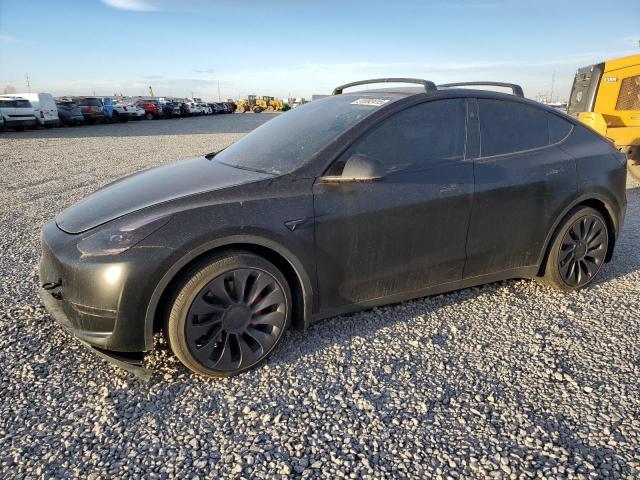 2024 TESLA MODEL Y — VIN 7SAYGDEF2RA300690