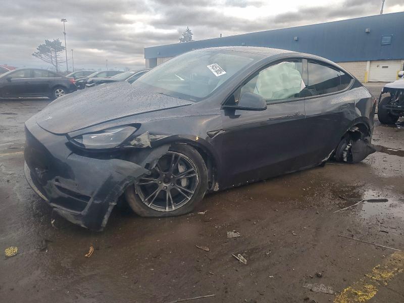 2024 TESLA MODEL Y — VIN 7SAYGDEE3RF208854
