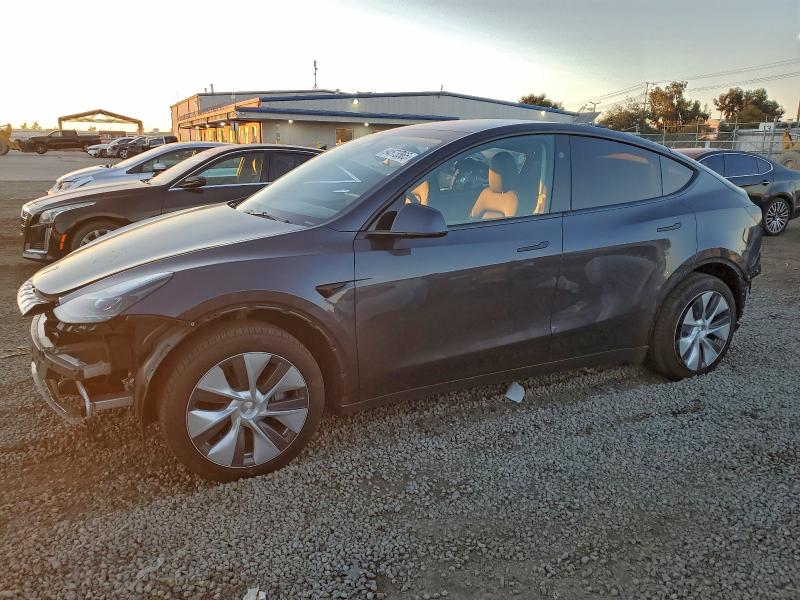 2024 TESLA MODEL Y — VIN 7SAYGDEE4RA218242