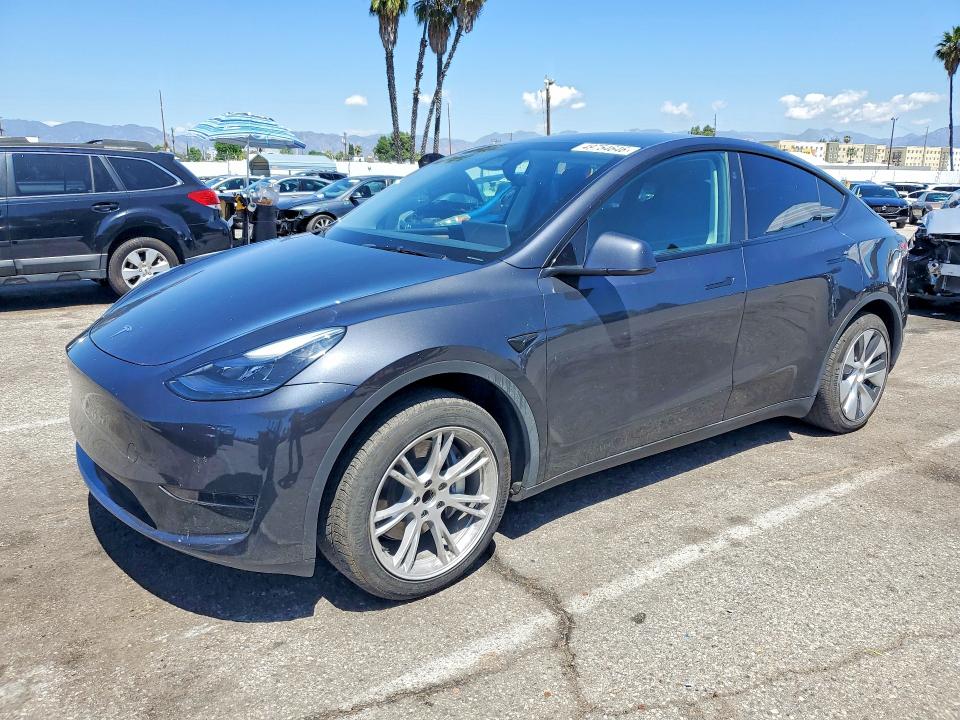2024 TESLA MODEL Y — VIN 7SAYGDEDXRF002874