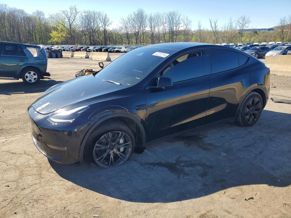 2024 TESLA MODEL Y — VIN 7SAYGDEE1RF183243