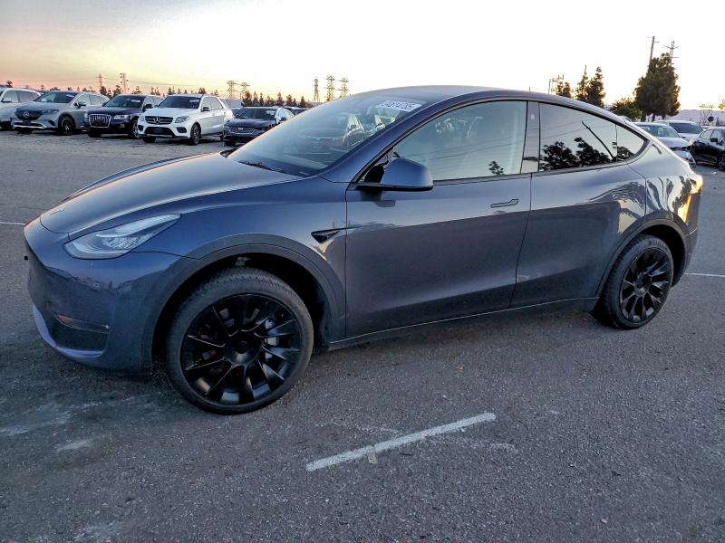 2023 TESLA MODEL Y — VIN 7SAYGDEE8PA129626