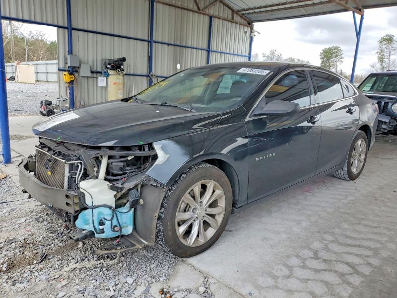 2019 CHEVROLET MALIBU — VIN 1G1ZD5ST6KF171697