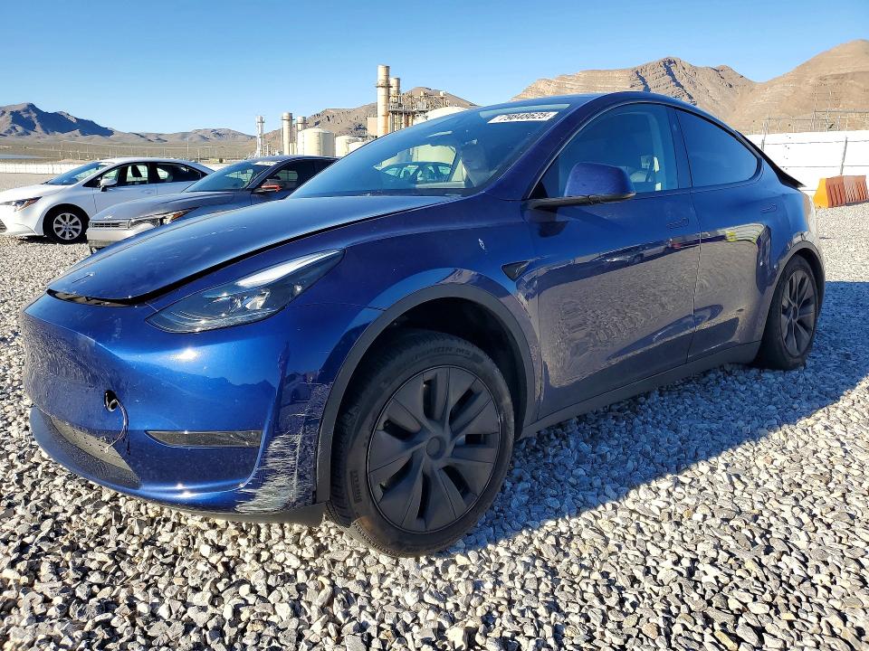 2024 TESLA MODEL Y — VIN 7SAYGDED8RF156175