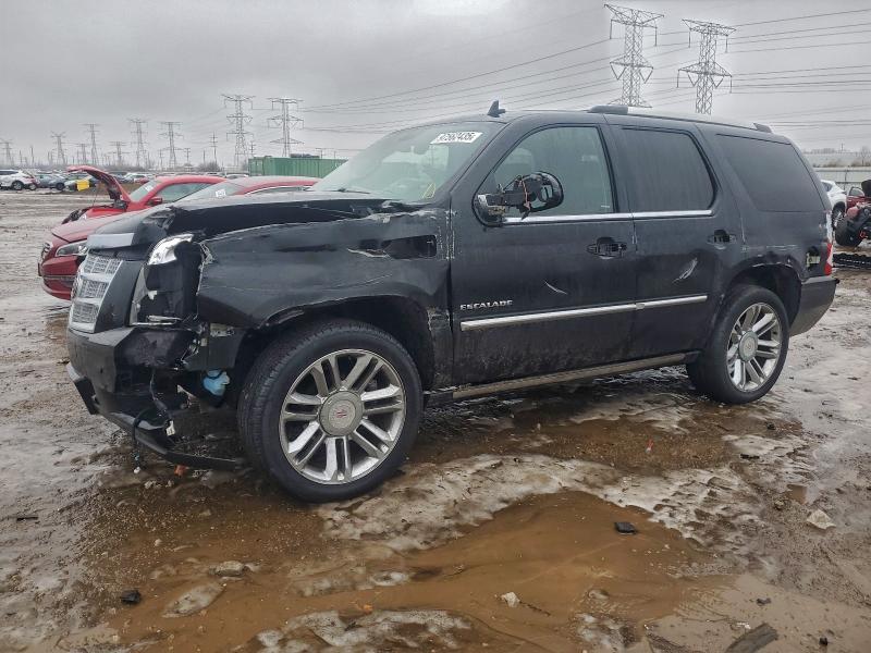 2013 CADILLAC ESCALADE P — VIN 1GYS4DEF9DR117928